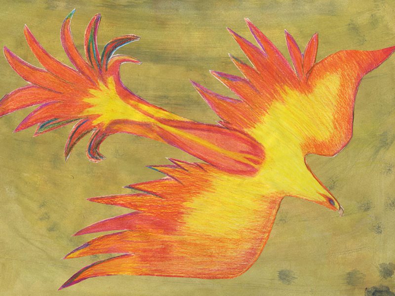 Der Feuervogel (c) Zeichnung von Dominik